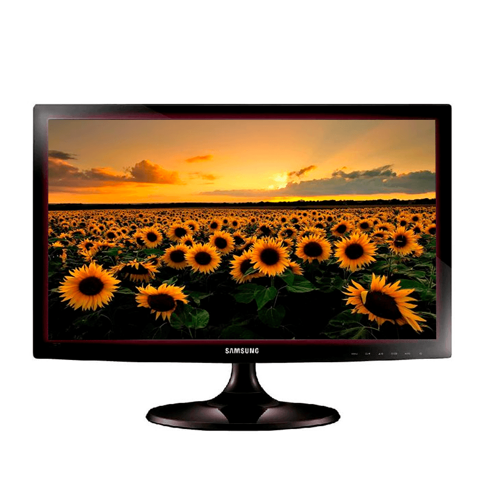 Monitor Samsung S19C301F 19" Wide VGA 1366x768 image number 0